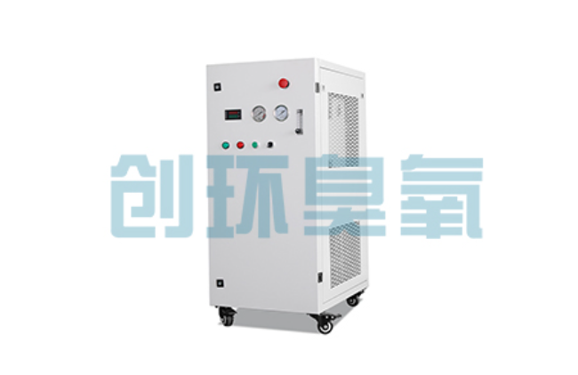 桥西比传统换水更高效?臭氧发生器在石斑鱼养殖中的水质净化原理解析